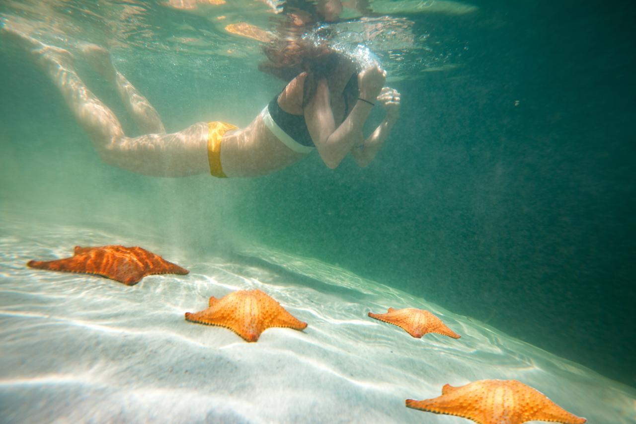 Azul Bocas Town Otel Dış mekan fotoğraf
